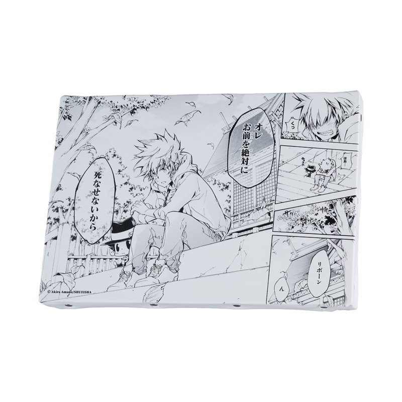 『家庭教師ヒットマンＲＥＢＯＲＮ！』名場面アートボード　「オレお前を絶対に死なせないから」　＜天野明展＞　ＢＤ２