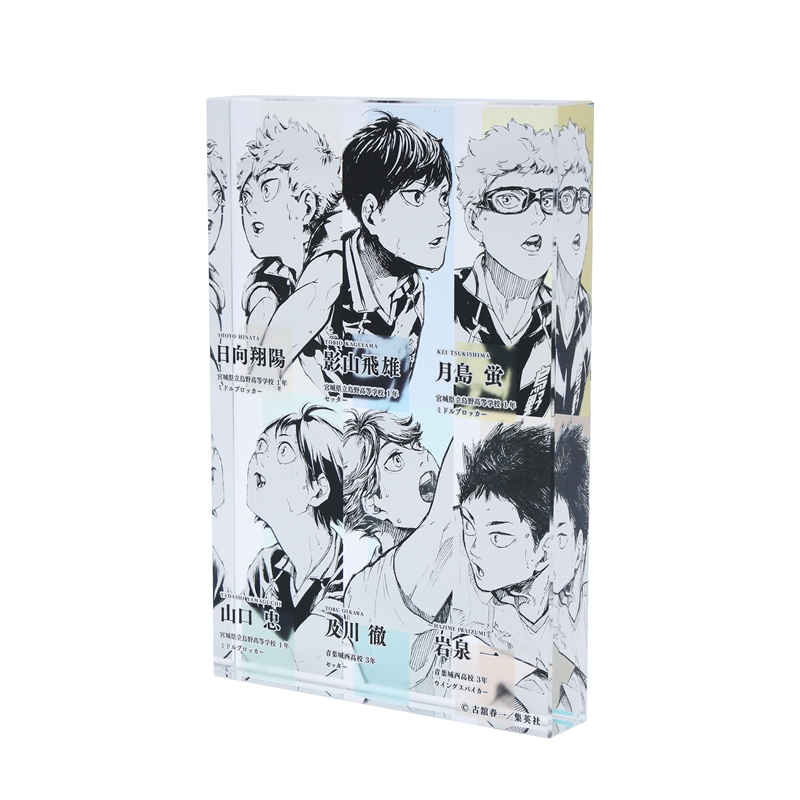 『ハイキュー!!』アクリルブロック 日向翔陽&影山飛雄&月島蛍&山口忠&及川徹&岩泉一 【仙台観光特使就任記念Ver.】 BE3